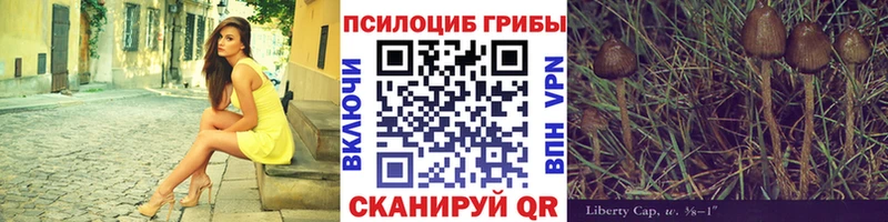 Псилоцибиновые грибы мицелий Кировск