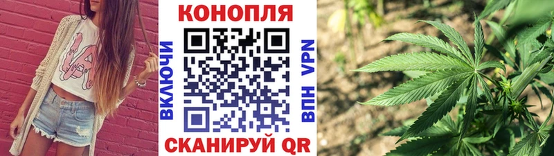 как найти наркотики  kraken зеркало  Бошки марихуана планчик  Кировск 
